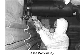 Asbestos Survey