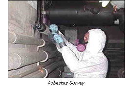 Asbestos Survey